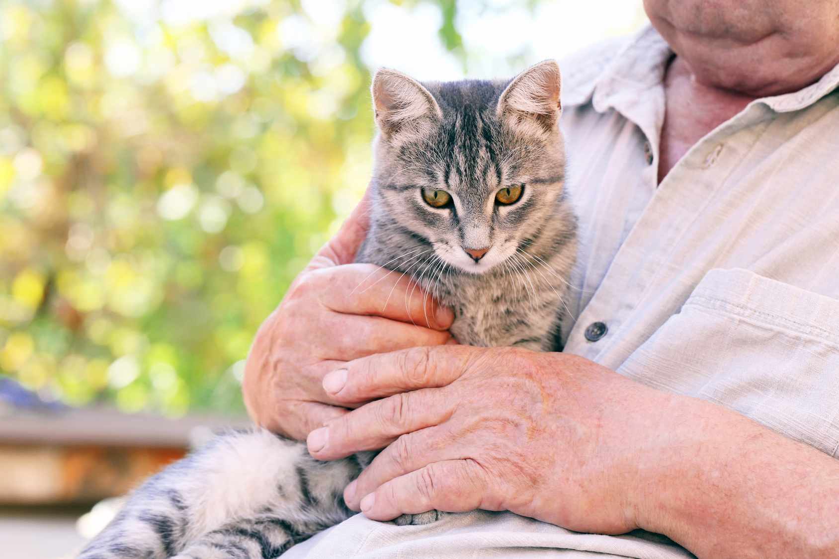 Ani Seniors Services proprose la garde d'animaux à domicile par des retraités.<br>Garde chat , c'est le catsitting