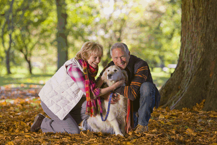 Ani Seniors Services, garde d'animaux à domicile par des retraités (nos seniors)