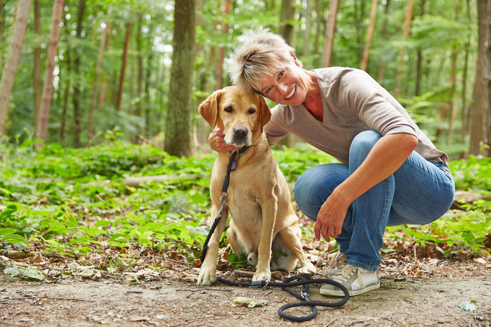 Le suivi de la garde d'animaux à domicile (Dog sitting