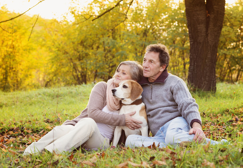 Ani Seniors Services, garde d'animaux à domicile par des retraités (nos seniors)